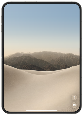 iPhone Duo